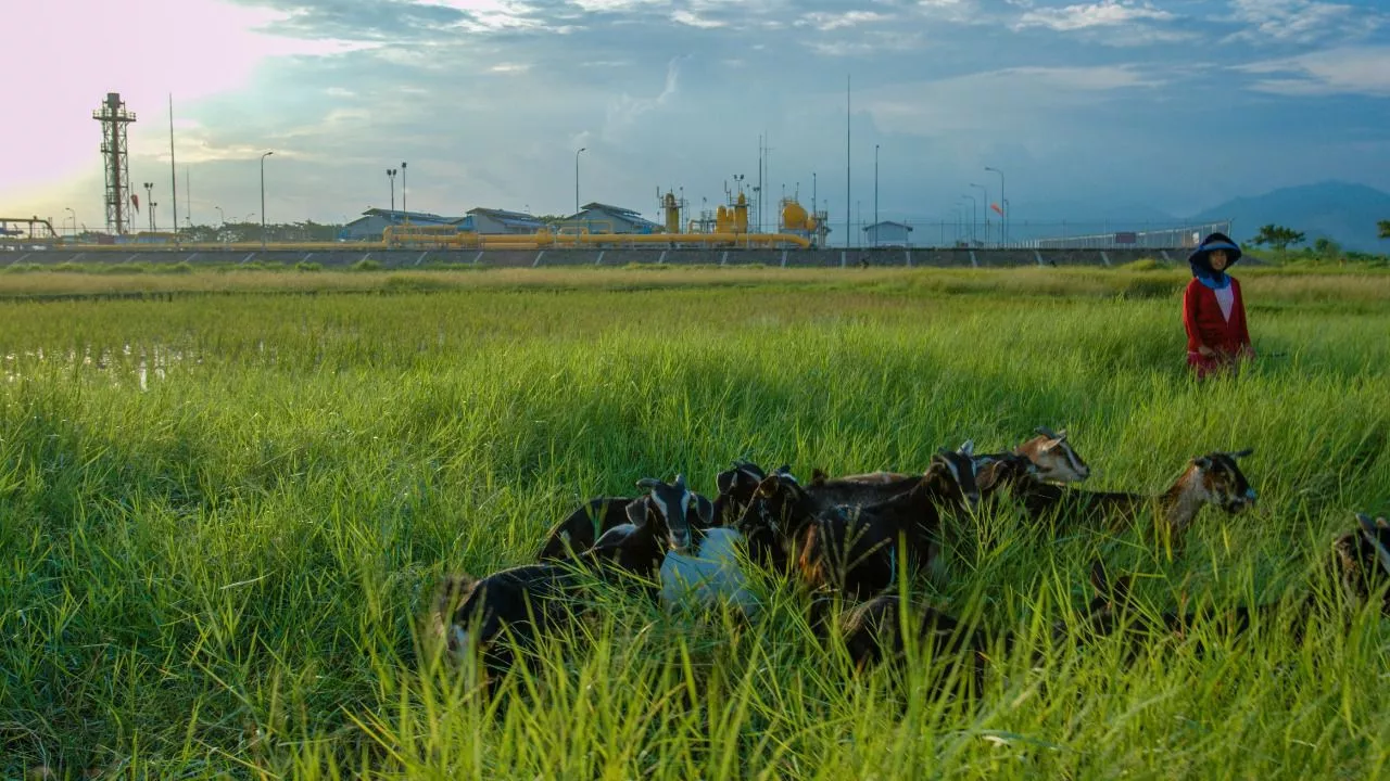 Pertamina Tekan Emisi Karbon, Penghematan Energi dan Pengelolaan Limbah