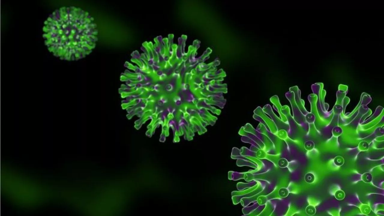 Muncul Virus Baru yang Menginfeksi Kuda dengan Angka Kematian 50 Persen