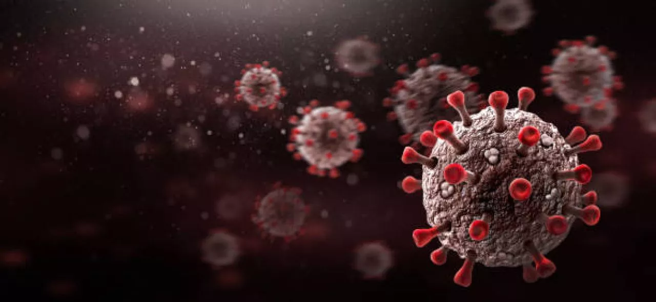 Ini Klasifikasi Hepatitis, Penularan Serta Cara Pencegahannya