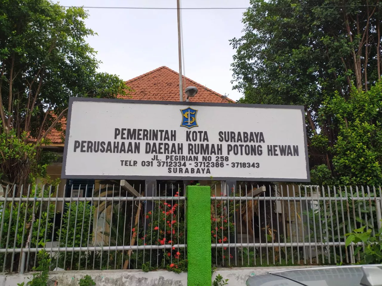 RPH Surabaya Berlakukan Surat Sehat Hewan yang Hendak Dipotong
