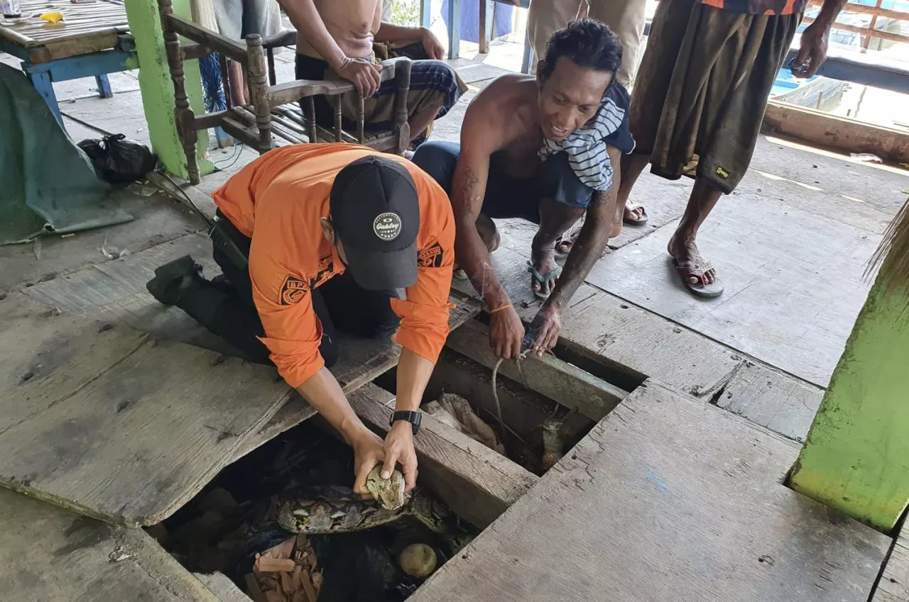 Warga Greges Surabaya Digemparkan dengan Penemuan Ular Sepanjang 3 Meter