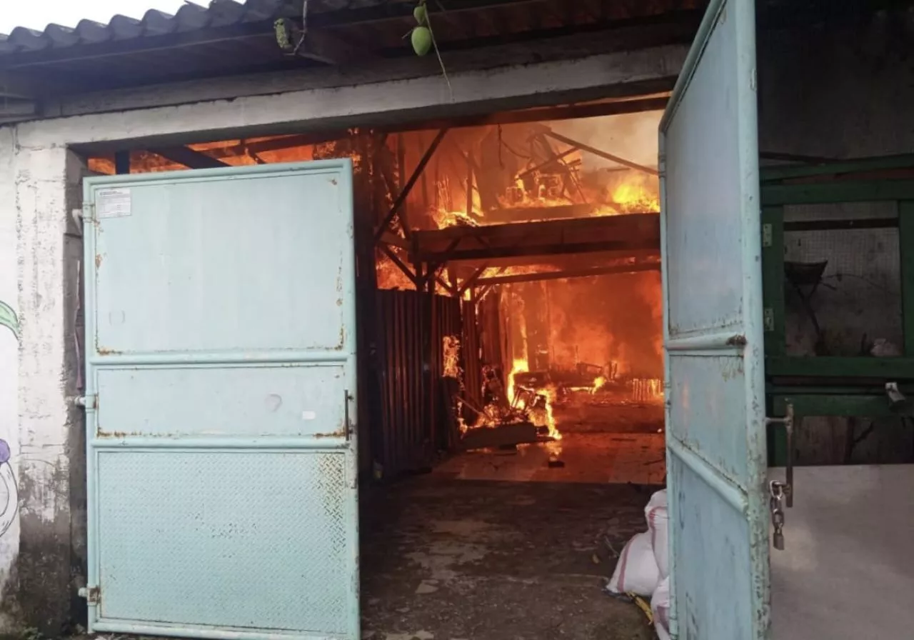 Niat Membakar Sarang Tawon, Toko di Surabaya Ludes Terbakar