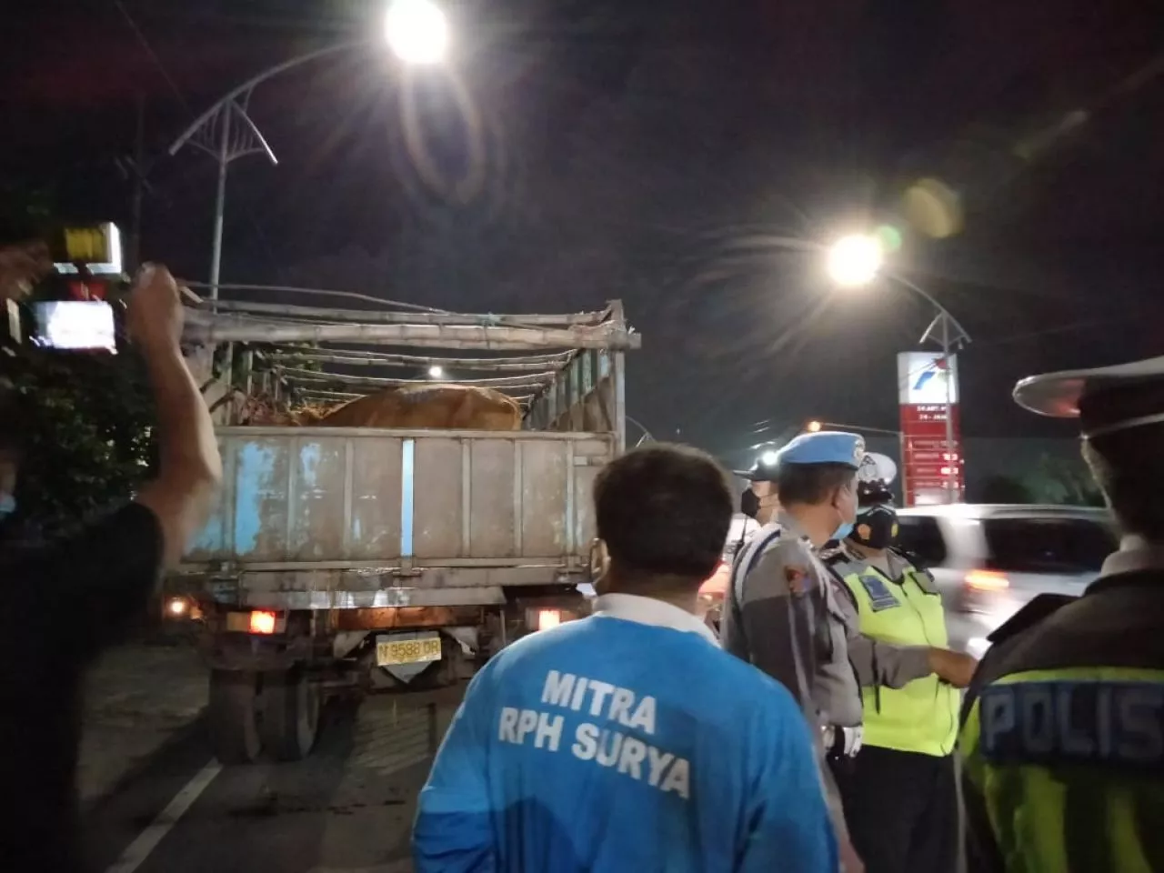 Cegah Penyakit Mulut dan Kaki Sapi, Polisi Periksa Hewan yang Masuk Surabaya