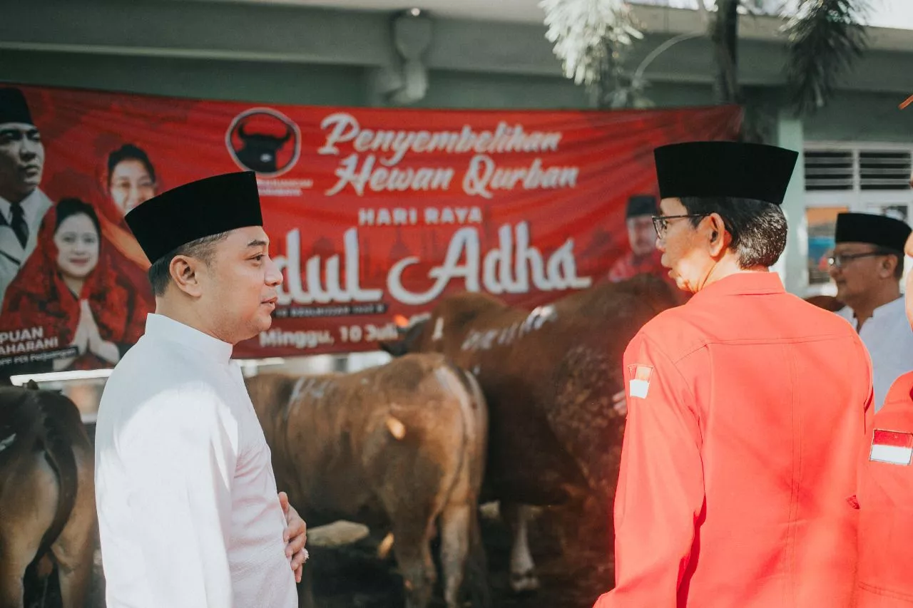 Idul Adha, PDIP Surabaya Potong 11 Sapi dan Dibagikan dalam Bungkus Daun Jati