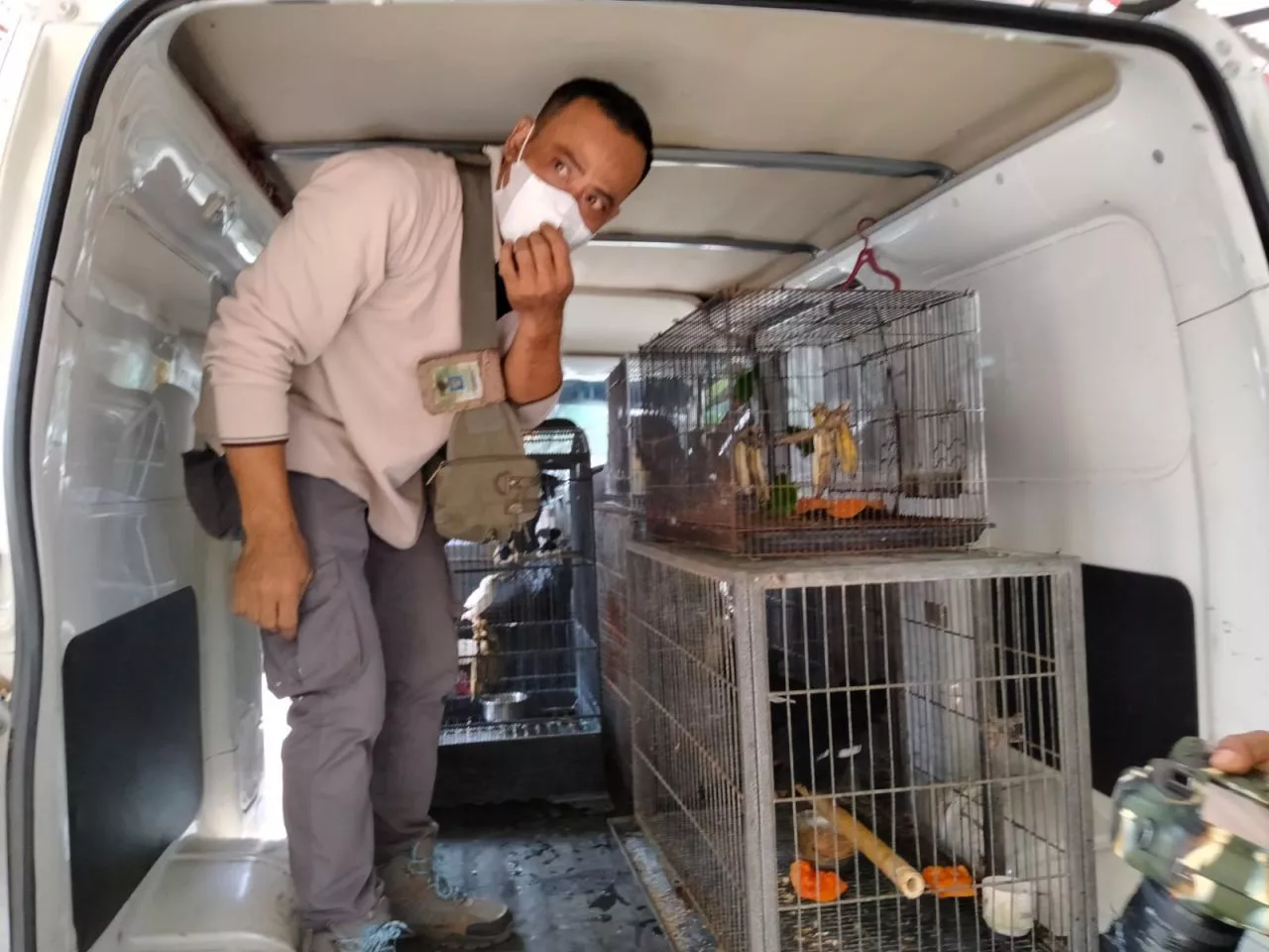 Polisi Bongkar Jaringan Perdagangan Satwa Dilindungi, 5 Tersangka Diamankan