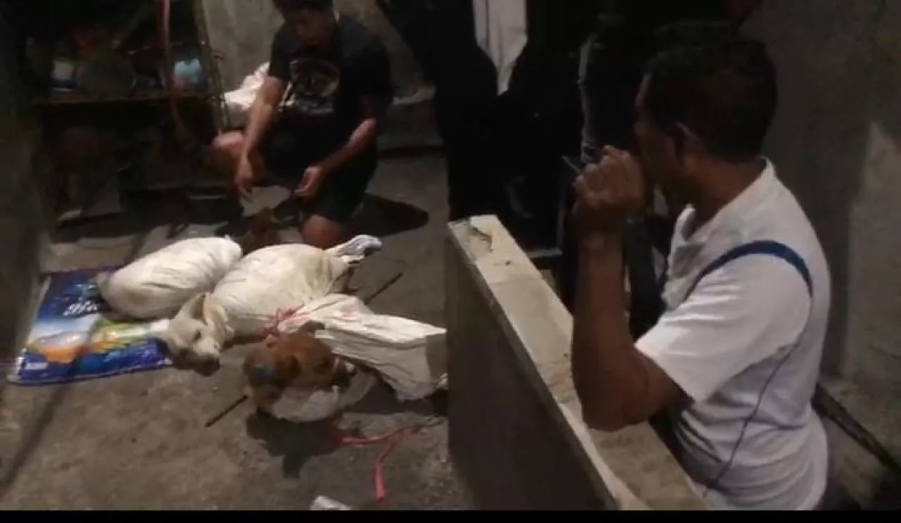 Rumah Jagal Anjing Dipasang Garis Polisi, Pelaku Terancam Hukuman 6 Bulan