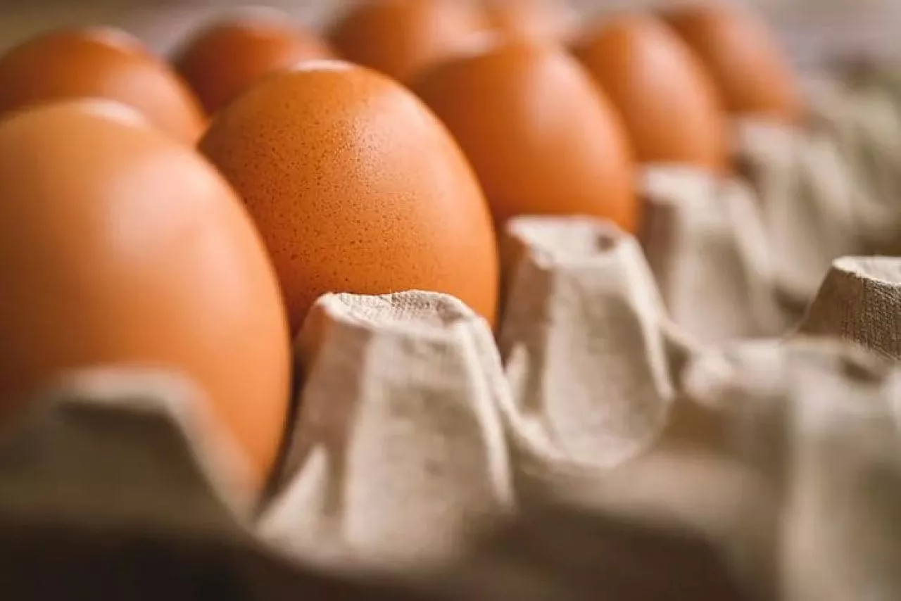 Pakar Ekonomi Unair Sebut Bansos Hanya Faktor Kecil Kenaikan Harga Telur Ayam