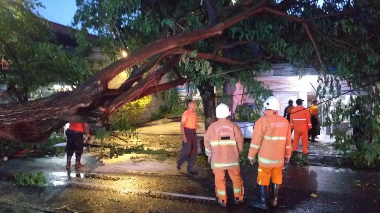 Pohon Tumbang Menimpa Rumah Warga Akibat Hujan Deras Disertai Angin di Surabaya
