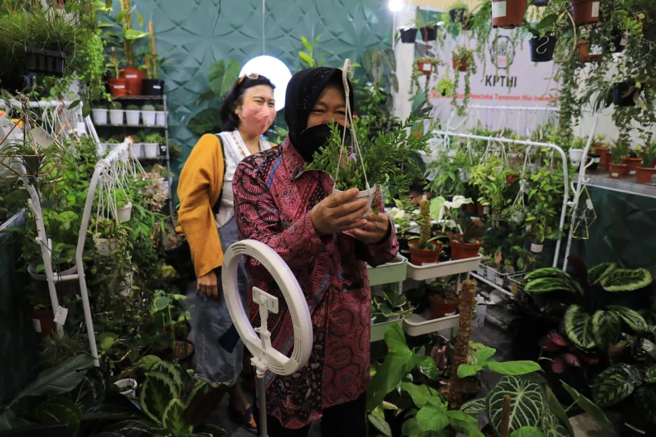 Mensos Risma Buka Mata Pemuda Soal Potensi Bisnis Tanaman Hias