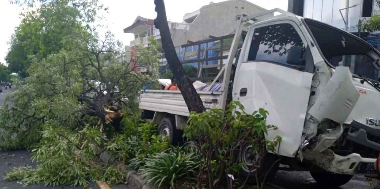 Hindari Pejalan Kaki, Pikap Tabrak Pohon hingga Tumbang di Surabaya