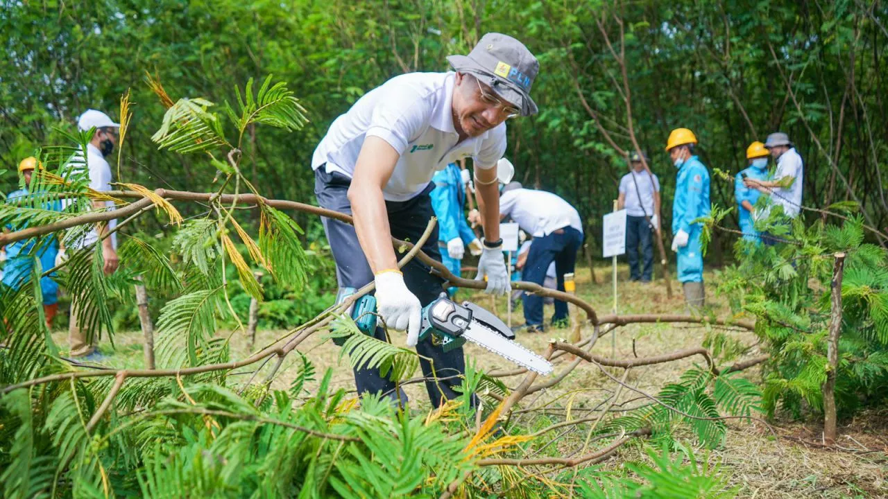 PLN NP Panen Perdana Pohon Kaliandra Sebagai Bahan Baku Co-Firing PLTU