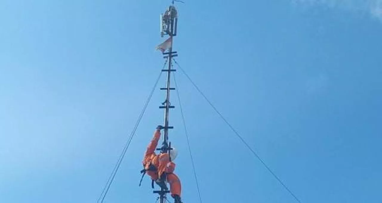 Ular Sepanjang 3 Meter Melilit Tower Komunikasi di Surabaya, Warga Panik