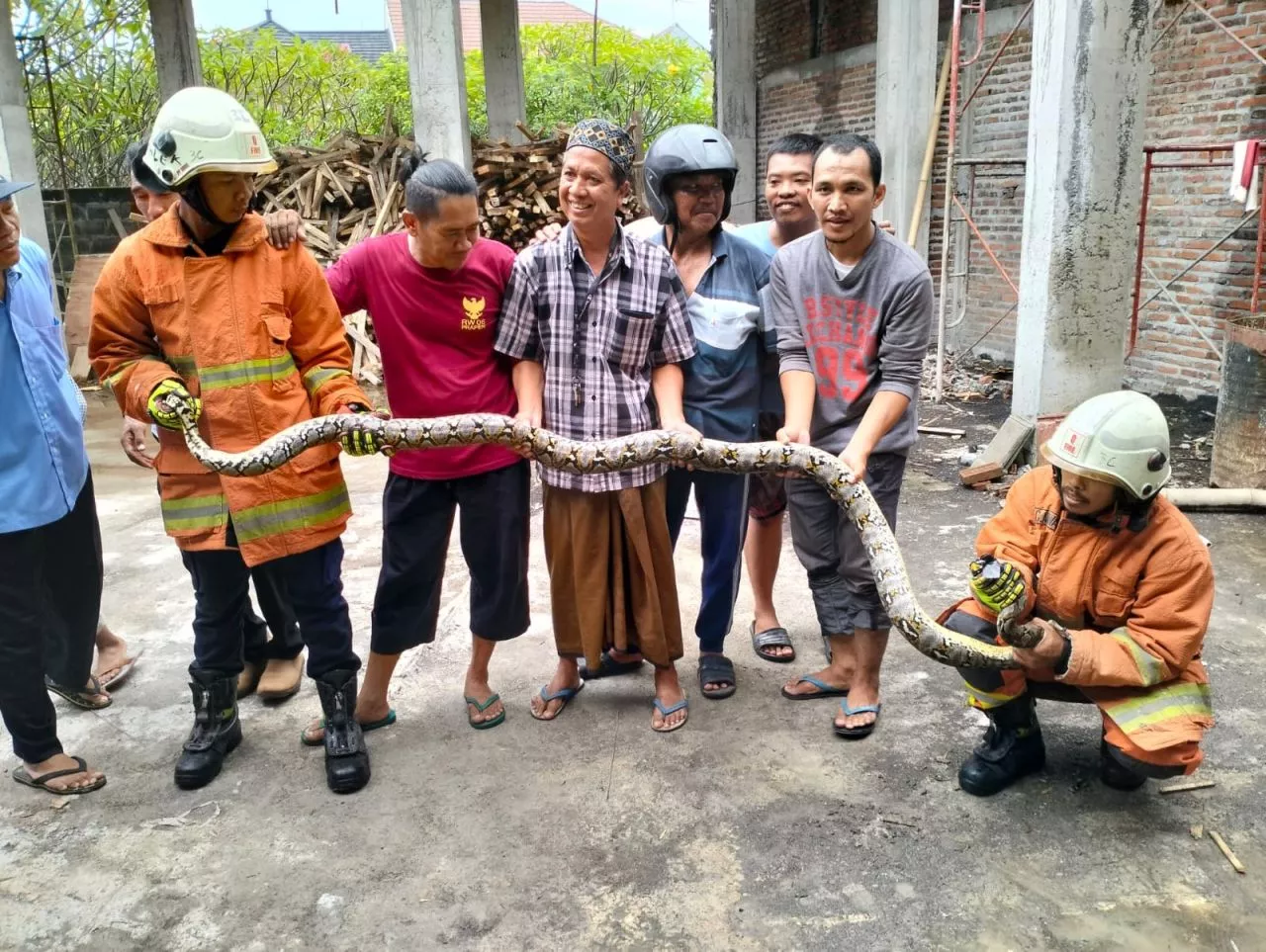Heboh! Ular Sepanjang 3 Meter Ditemukan Nangkring di Tembok Masjid