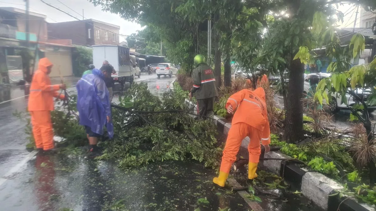 Surabaya Cuaca Ekstrem, Dalam Sehari Lima Pohon Tumbang di Berbagai Kawasan