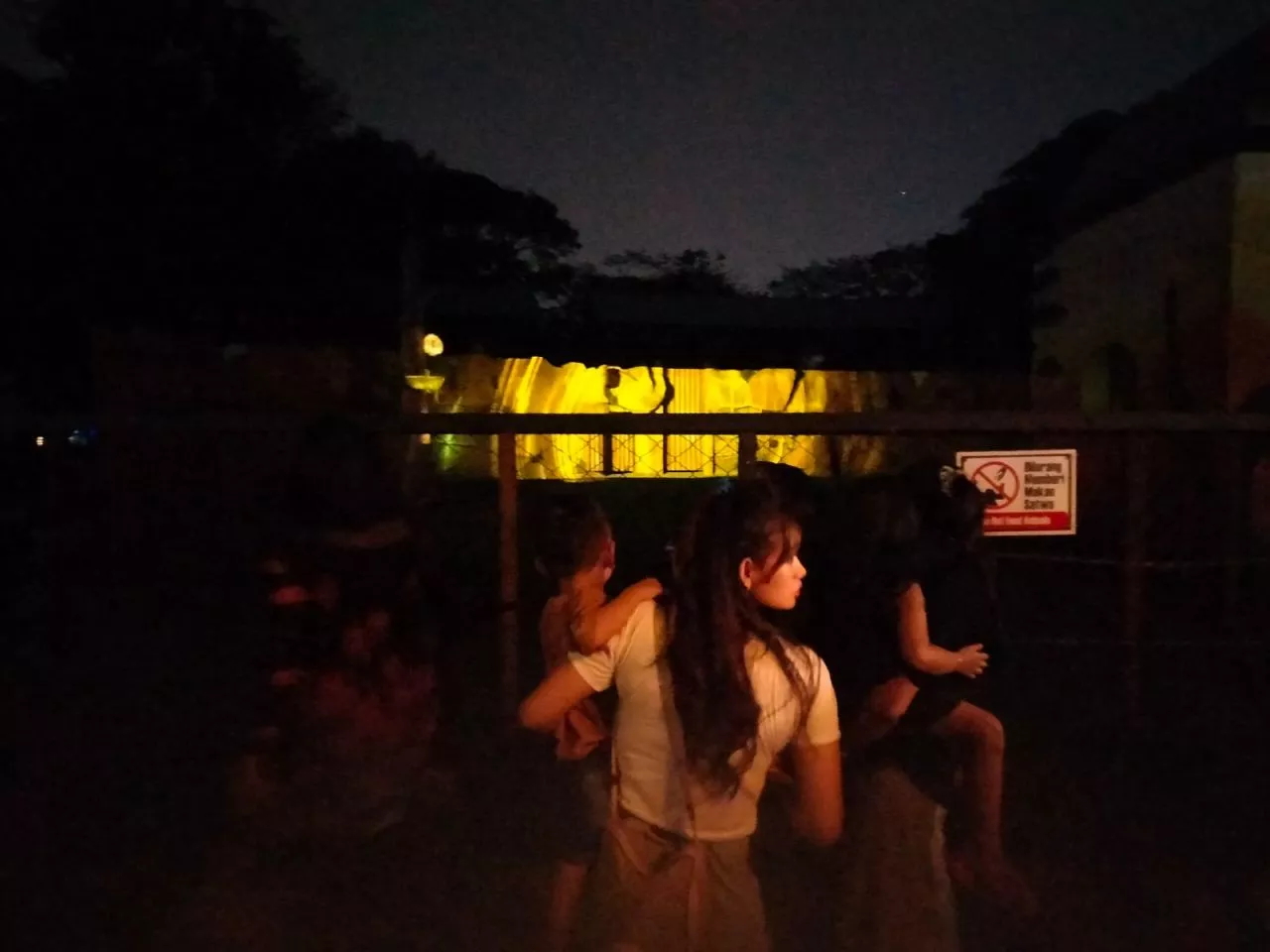 Begini Urutan dan Aturan di Surabaya Night Zoo