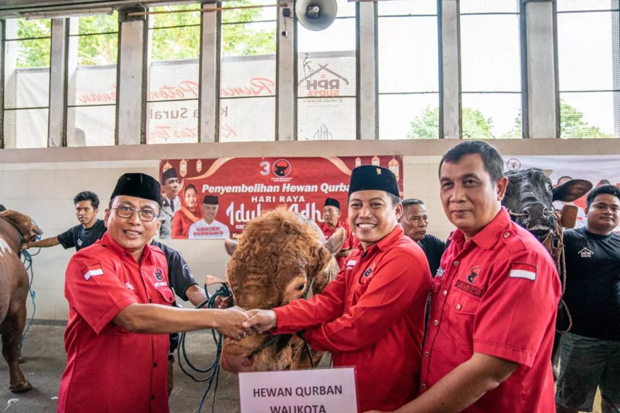 Sembelih 14 Ekor Sapi, PDIP Surabaya Bagikan Daging Kurban ke Warga Tak Mampu