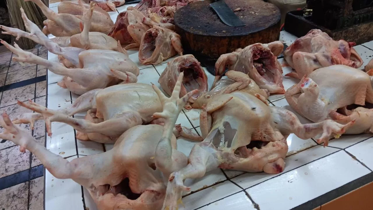 Sejak Idul Fitri hingga Jelang Idul Adha Harga Ayam Potong Naik, Pedagang Mengeluh Sepi