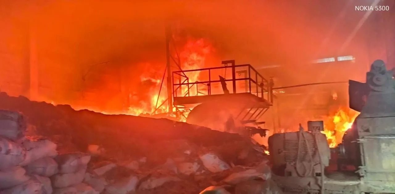 Gudang Bulu Ayam di Surabaya Terbakar, 12 Unit Damkar Dikerahkan