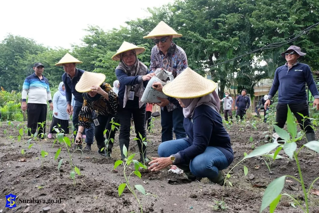 Ini Langkah Pemkot Surabaya Antisipasi Dampak El Nino