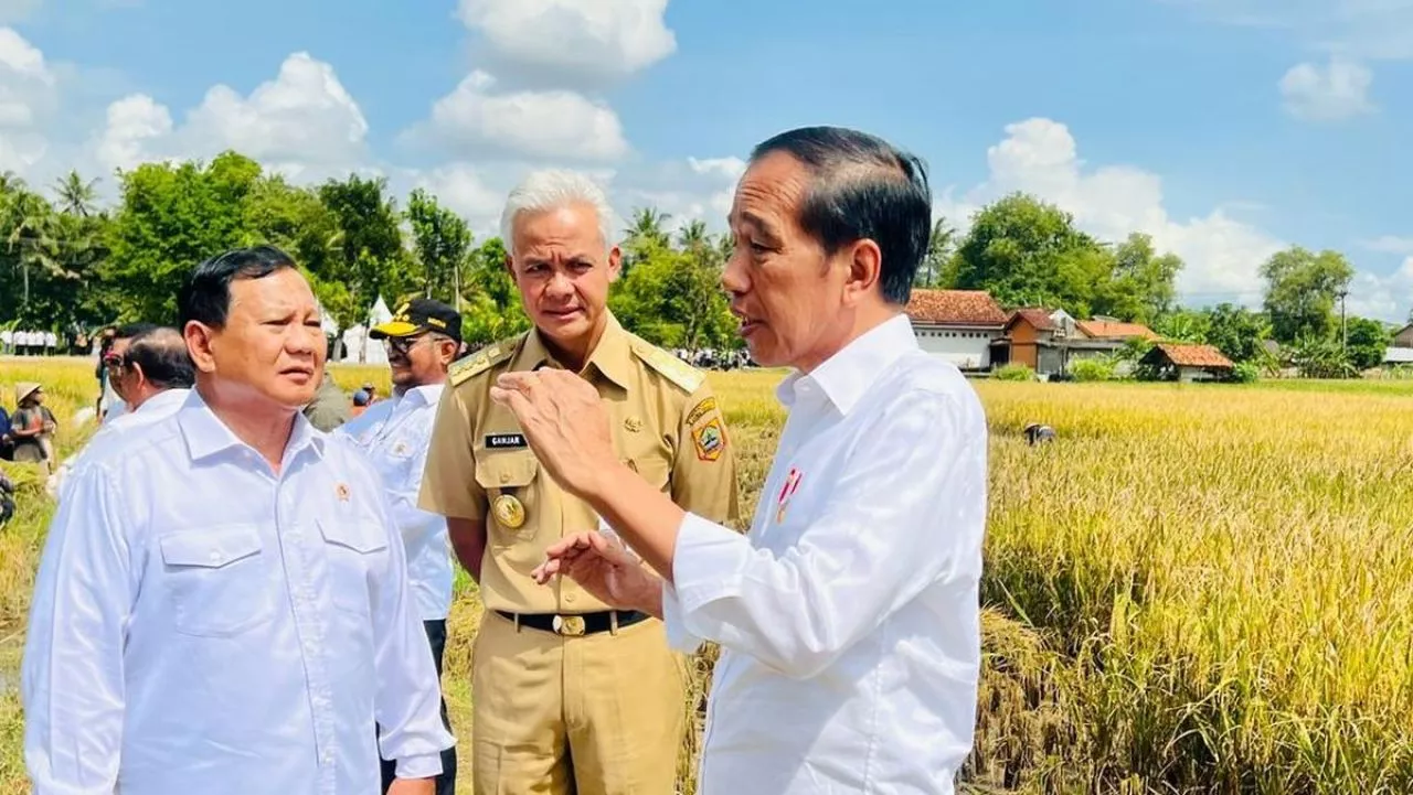 Golkar-PAN ke Prabowo, Pengamat Sebut Kader Partai Rawan Dukung Calon Lain