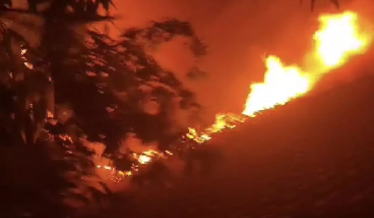 SDN Dr Soetomo Surabaya Terbakar, 14 Unit Damkar Dikerahkan