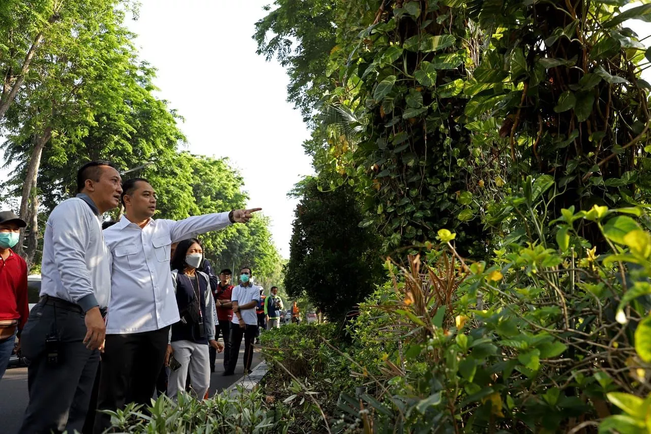 Percantik Taman Seluruh Kota Surabaya, Pemkot Revitalisasi Ruang Terbuka Hijau