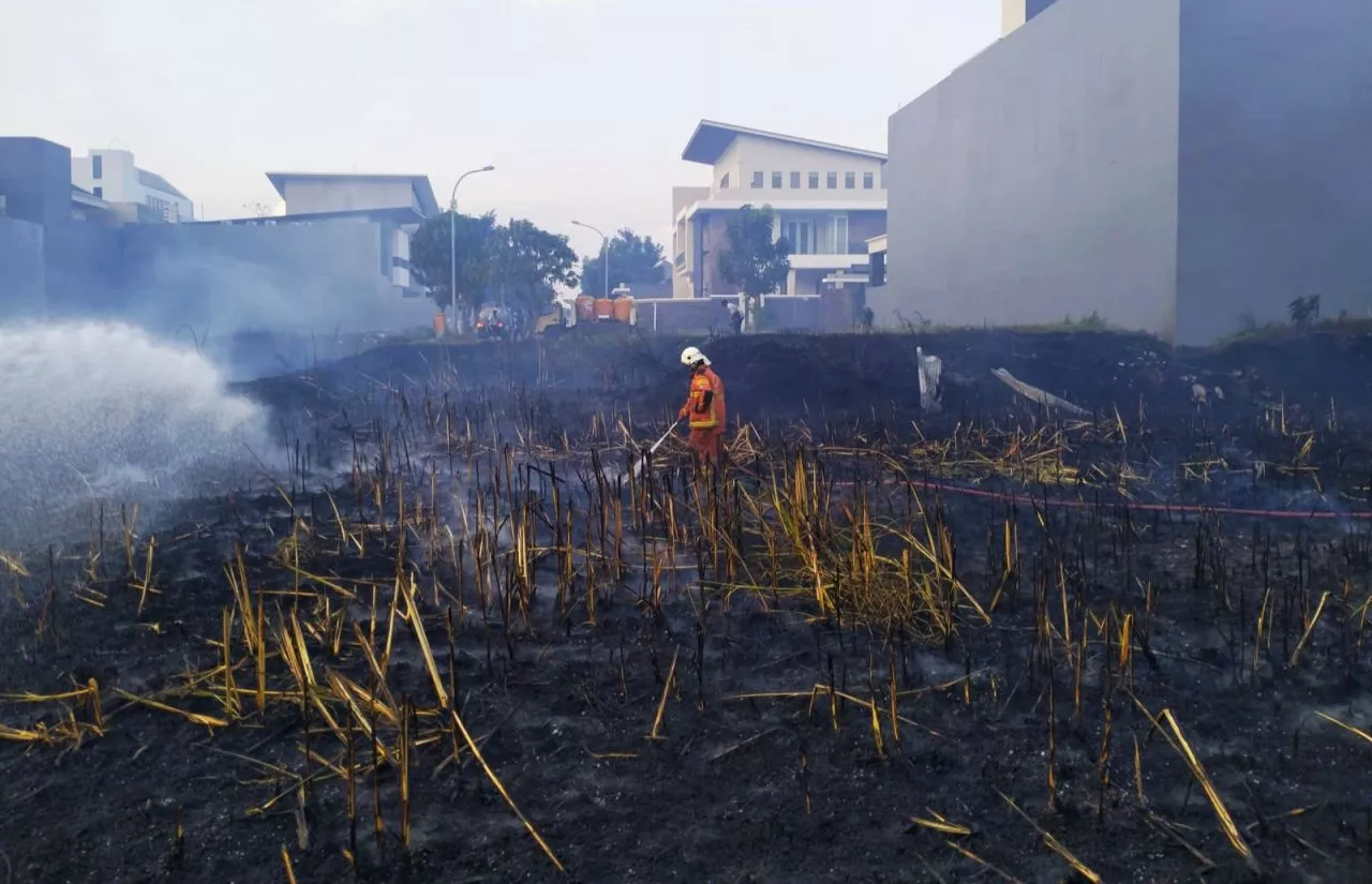 Akibat Bakar Alang-alang, Lahan Kosong di Perumahan Sukolilo Surabaya Hangus