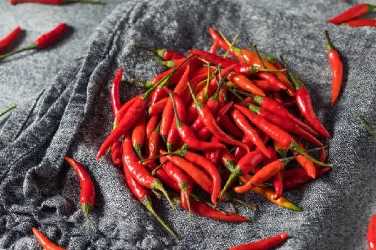 Harga Cabai Makin Pedas, Pemkot Surabaya Sebut Banyak Gagal Panen