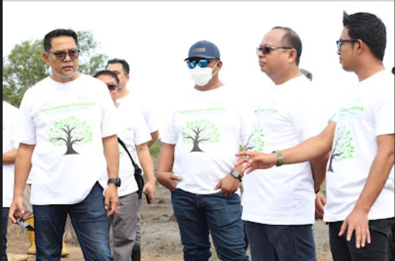 Jaga Garis Ekosistem Pesisir, Pelindo Multi Terminal Tanam 8000 Bibit Mangrove di Kalimantan