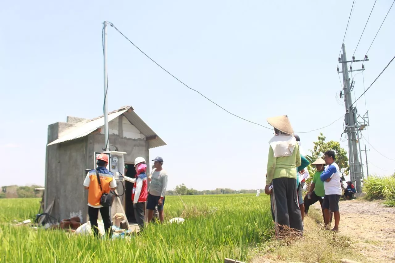 Beralih ke Listrik PLN, Ratusan Petani di Ponorogo Hemat Biaya Produksi Hingga 65 Persen