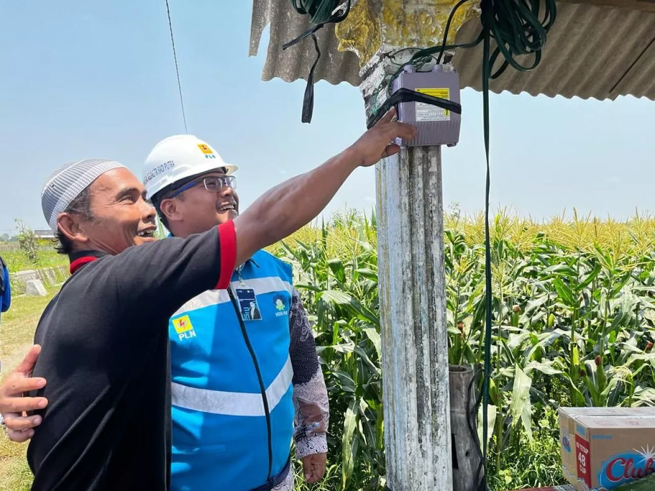 Program Electrifying Agriculture PLN Bakal jadi Penopang Ketahanan Pangan Nasional