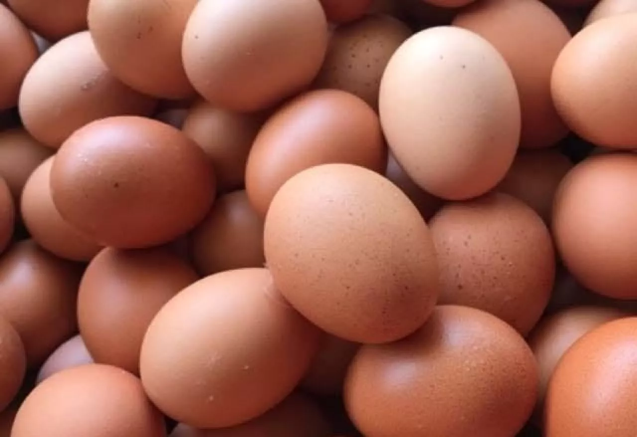 Harga Telur Ayam Ras Melonjak Naik, Ini Penyebabnya