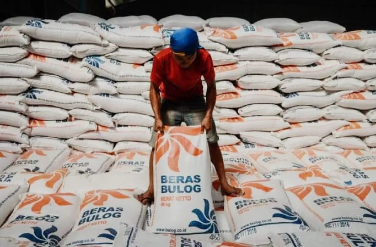 Pemerintah Impor 3,6 Juta Ton Beras untuk Penuhi Pangan Nasional di 2024