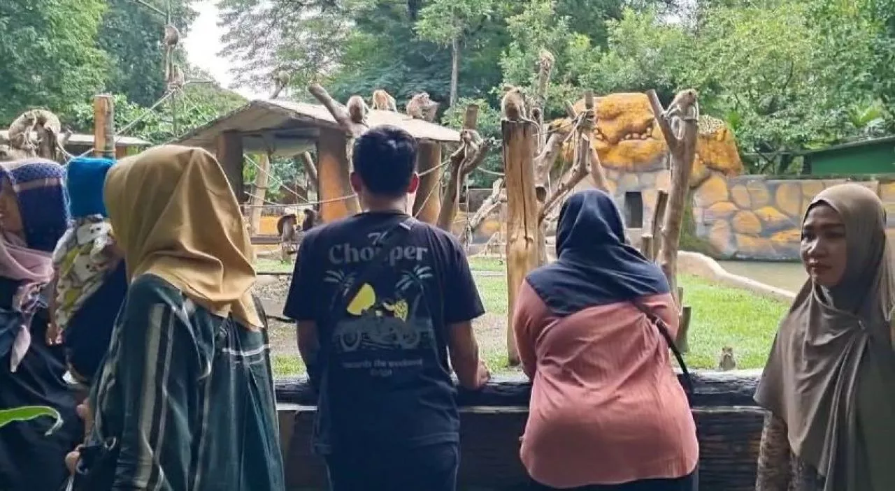 70 Ribu Pengunjung Diperkirakan Datangi KBS Pada Puncak Libur Lebaran