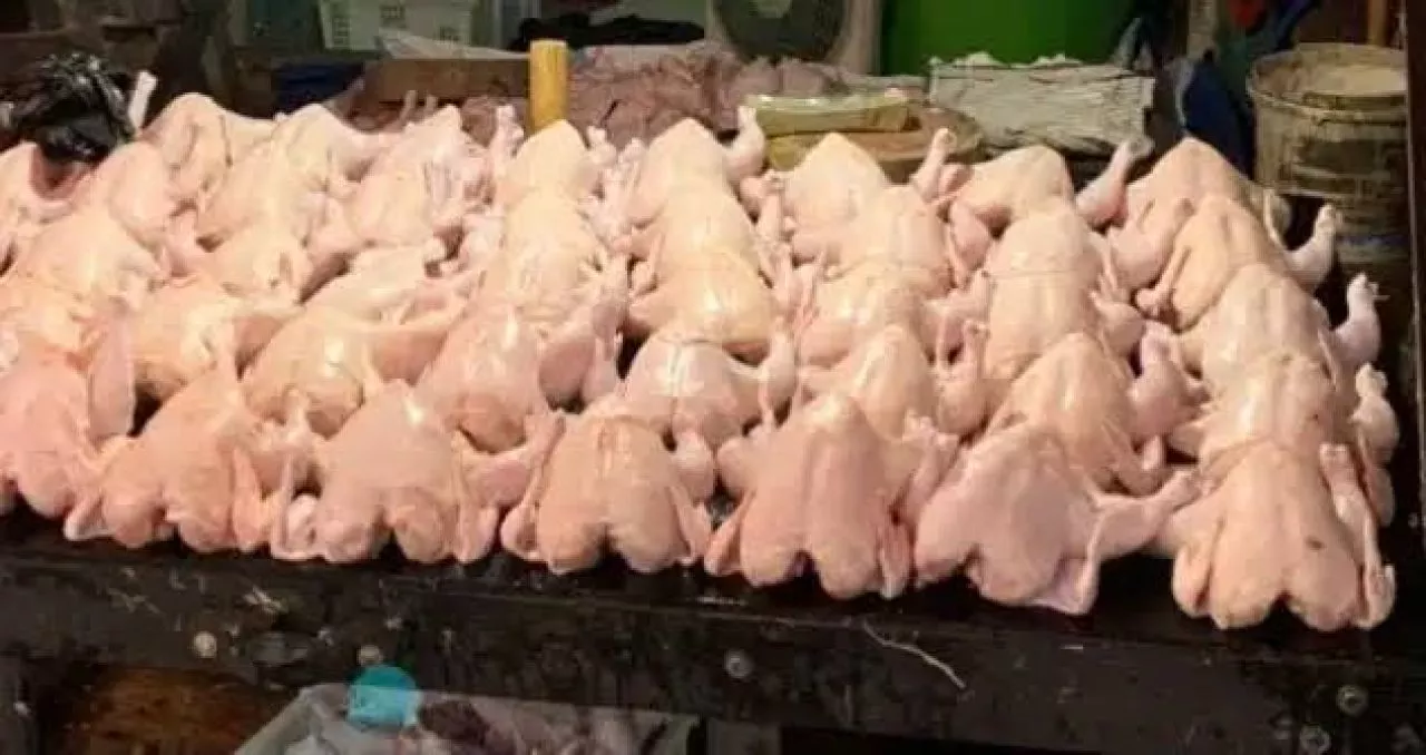 Ini Penyebab Harga Ayam Potong di Surabaya Terus Naik Pascalebaran