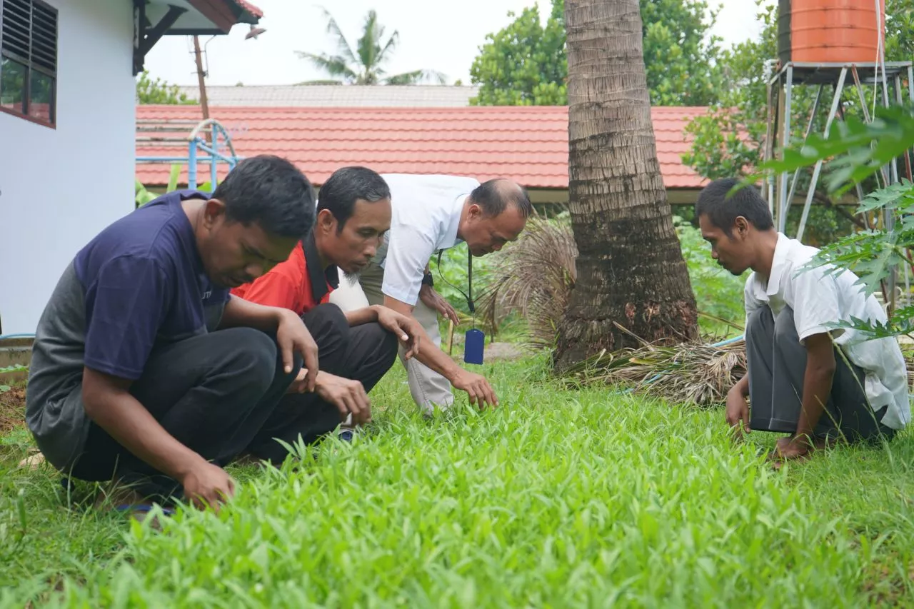 Kemensos Latih ODGJ Mandiri Berkebun
