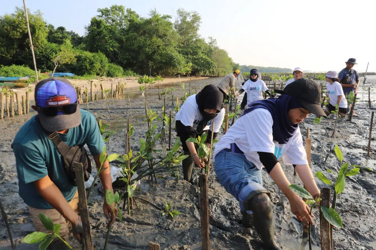 Jaga Kelestarian Lingkungan, Pelindo Tanam 20 Ribu Mangrove di Madura