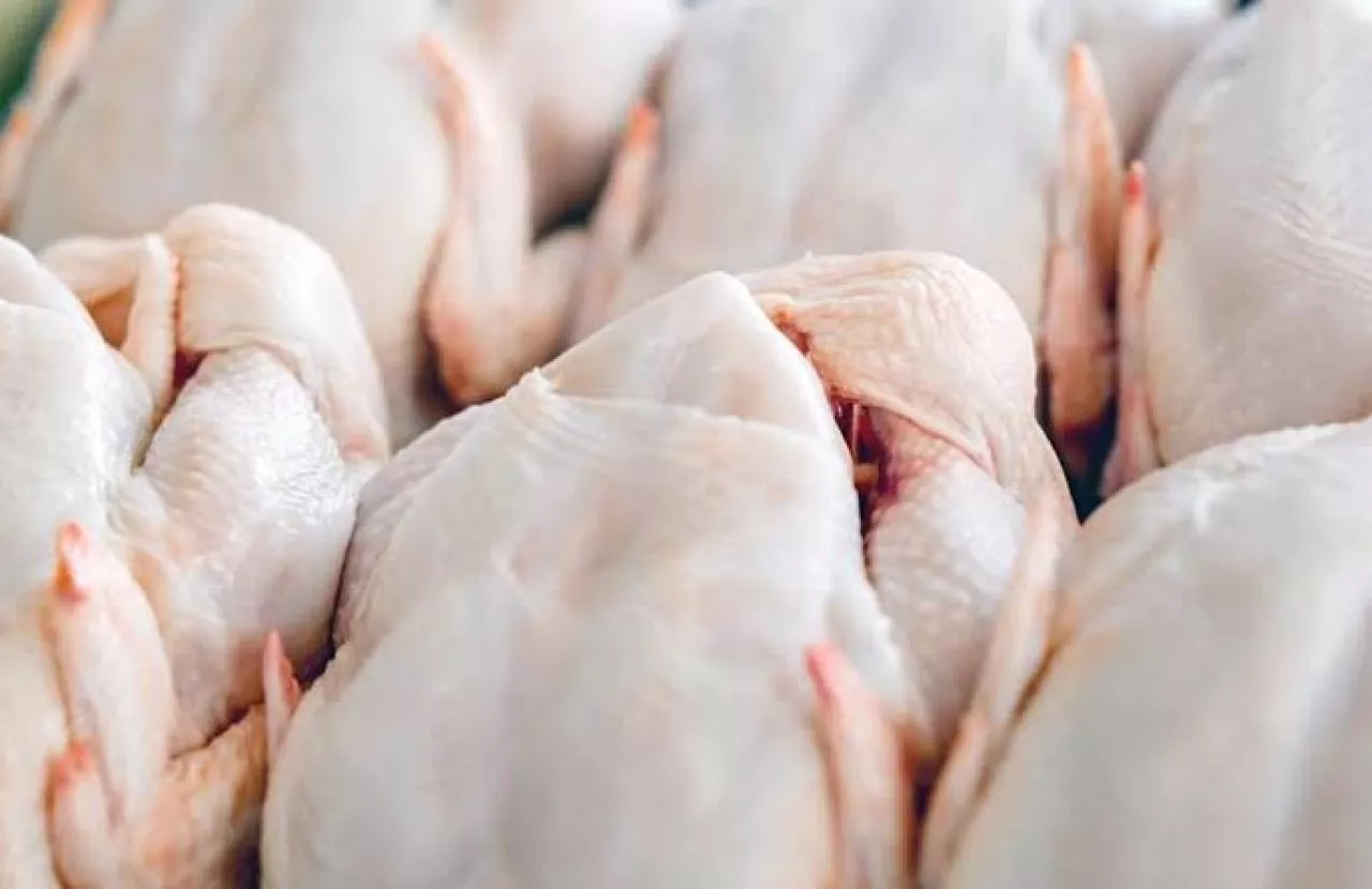 Harga Ayam Potong di Surabaya Sentuh Rp 48 Ribu Perkilo, Masyarakat Mengeluh