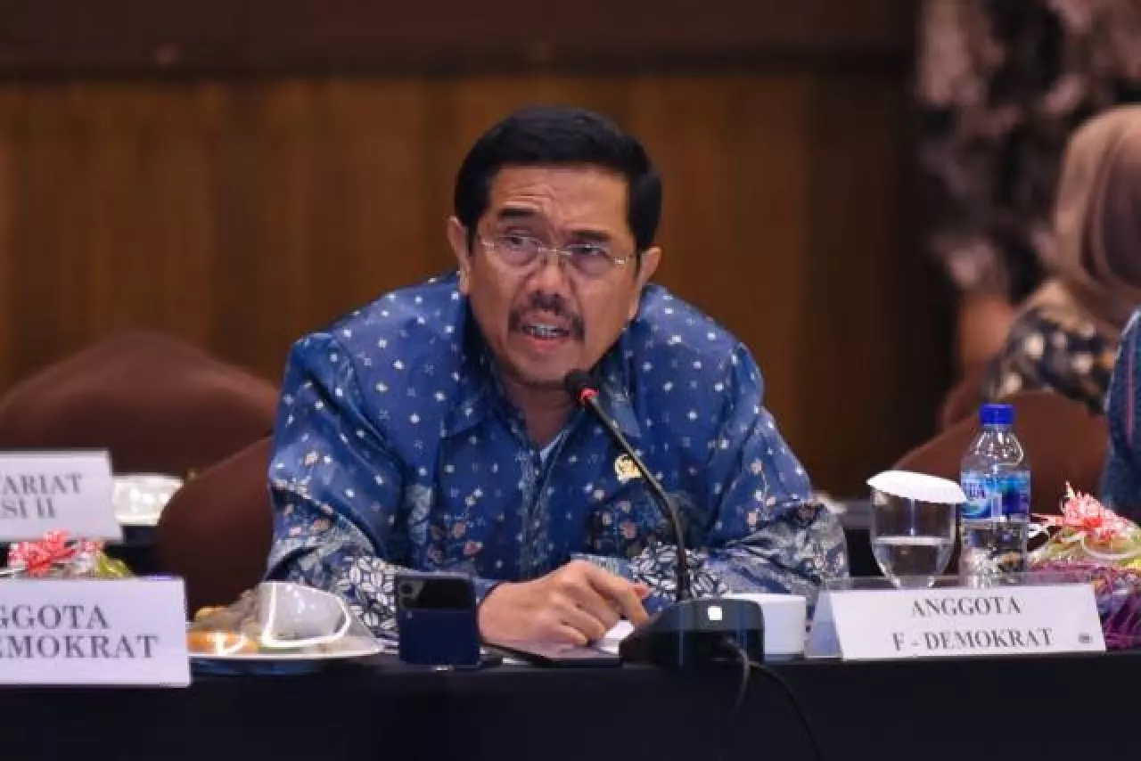 Smelter Kembali Meledak, Legislator Desak Pemerintah Evaluasi Program Hilirisasi