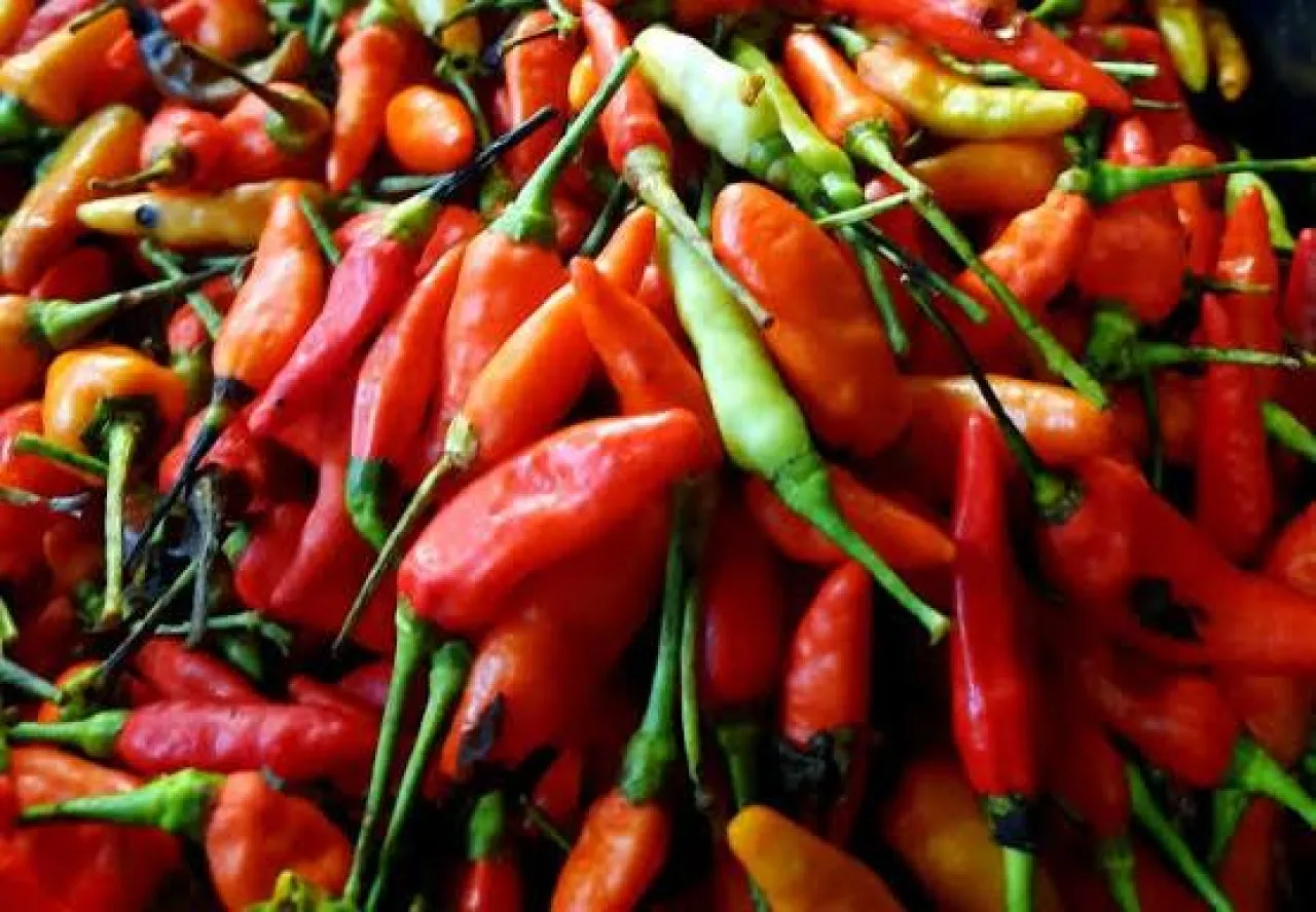 Jelang Idul Adha Harga Cabai Meroket, Tomat dan Bawang Anjlok