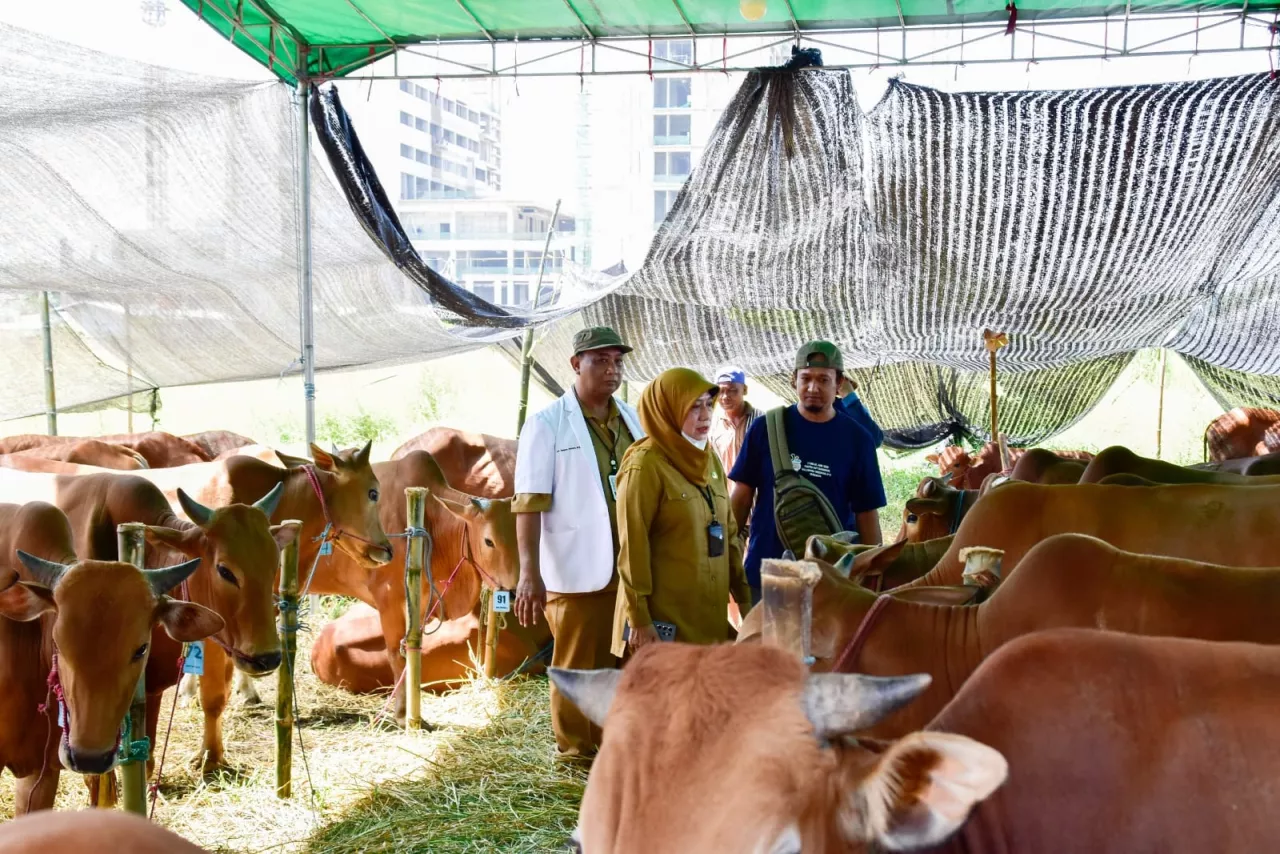 103 Pedagang Ajukan Rekomendasi Lapak Hewan Kurban di Surabaya