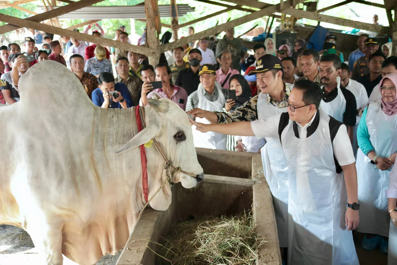 Pemprov Pastikan Jawa Timur Siap Sambut Hari Raya Idul Adha 2024