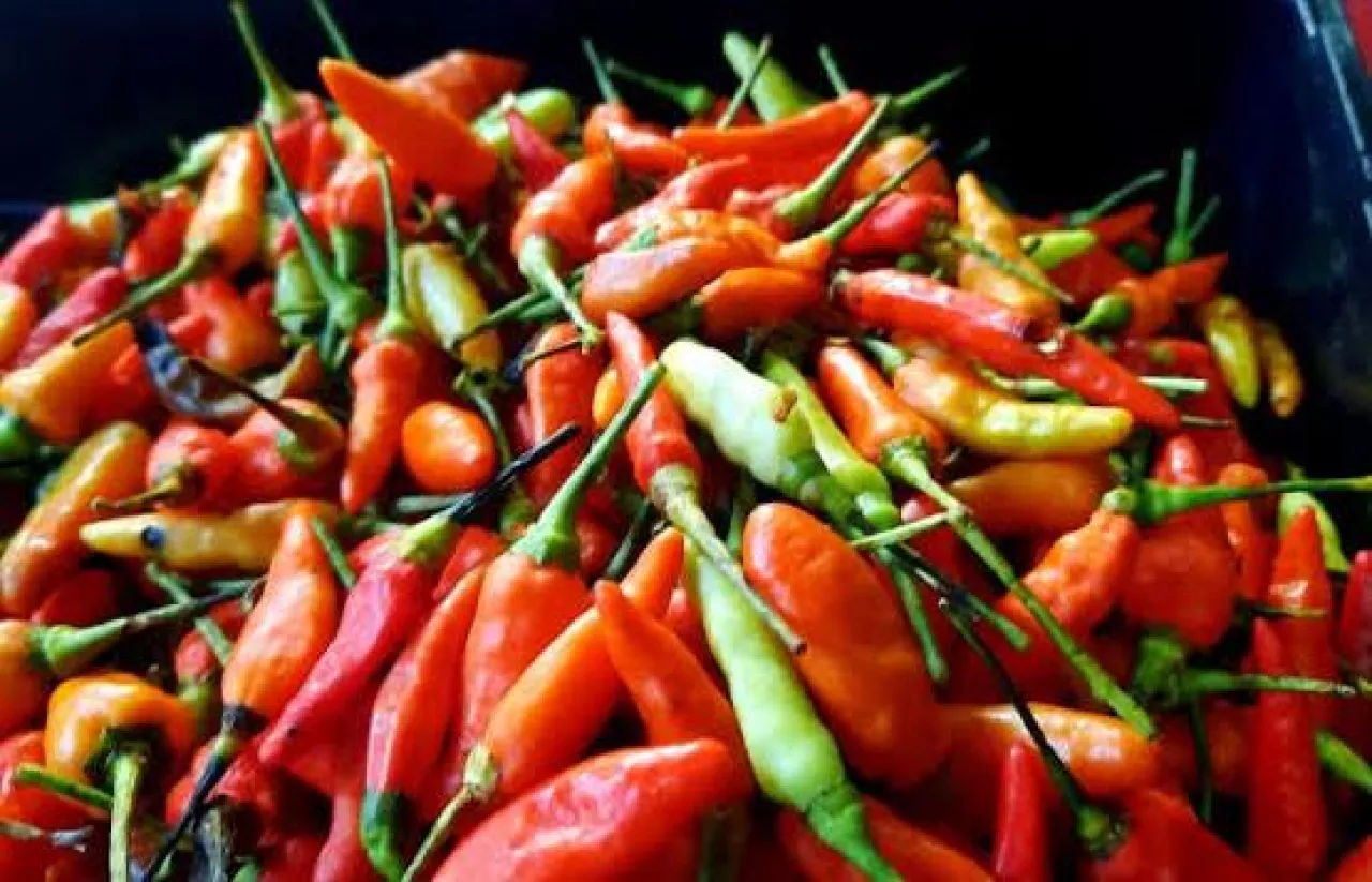 Harga Cabai Rawit Melambung, Tomat Anjlok Drastis