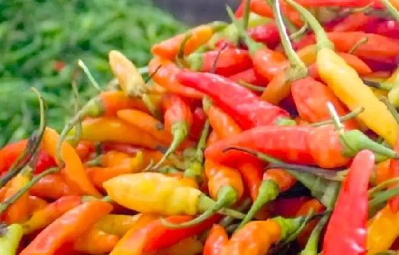 Harga Cabai Tembus Rp90.000 per Kg, Pedagang: Apa Ada Permainan?