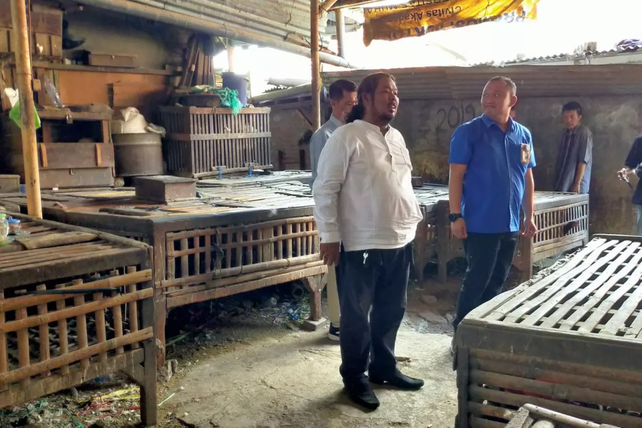 Pasca Revitalisasi, Pedagang Unggas Bisa Kembali ke Keputran Selatan