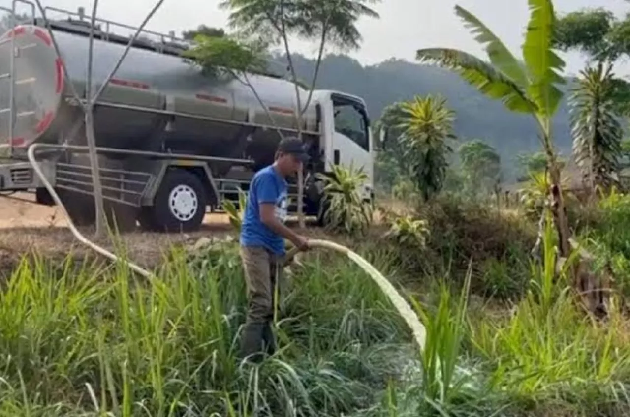 Aksi 'Buang Susu' di Pasuruan: DPR Desak Pemerintah Prioritaskan Peternak Lokal