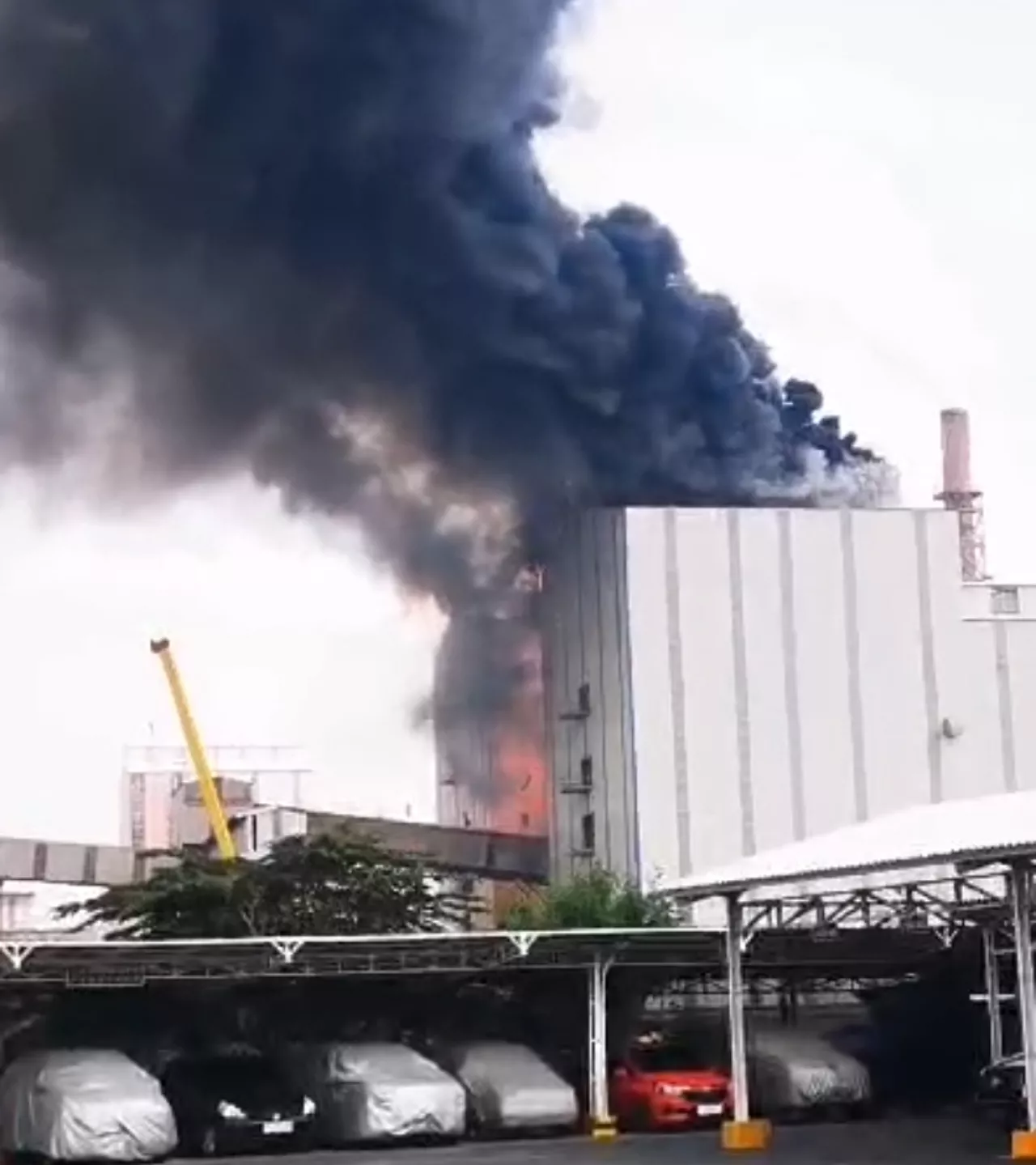 Kebakaran Pabrik NPK Petrokimia Gresik: Tak Ada Korban Jiwa, Investigasi Dilakukan