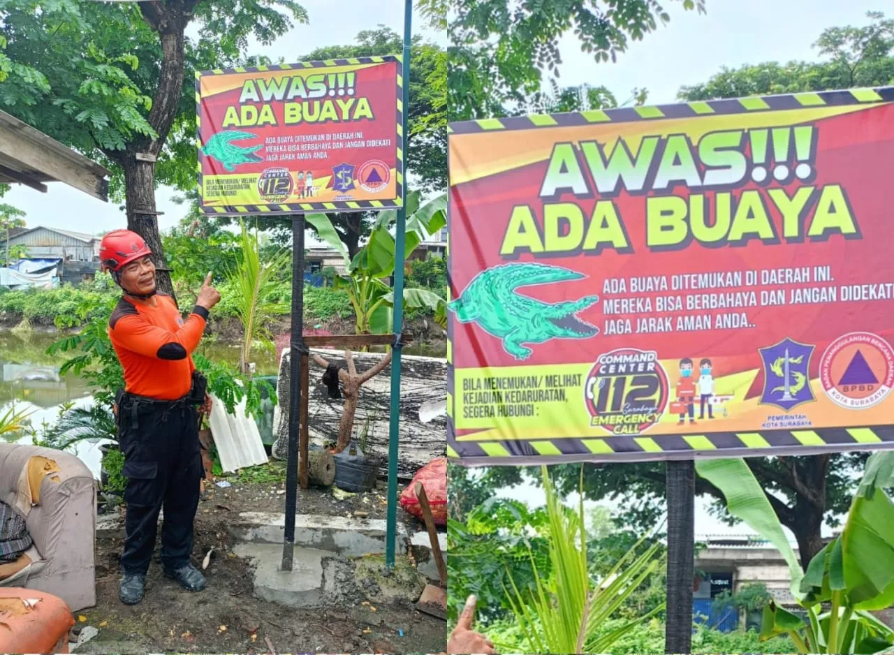 Papan Peringatan Buaya Dipasang, Warga Wonorejo Diimbau Waspada