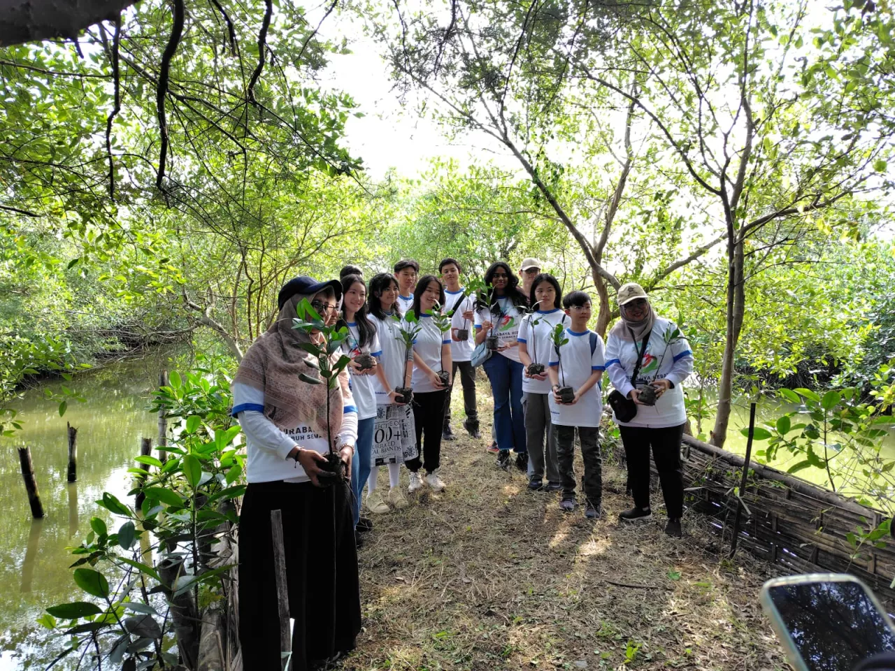 Peringati HUT ke-2, DKPP Ajak Finalis Putri Remaja Tanam 1.000 Pohon Mangrove