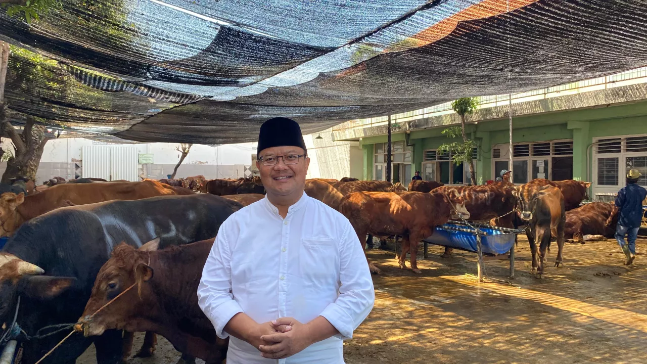 Tren Iduladha 1446 H: Pemotongan di RPH Meningkat, Penjualan Sapi Turun